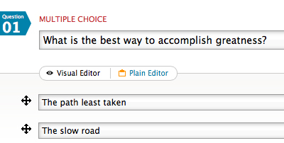 Easy-to-Use Survey Editor
